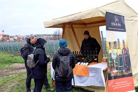 Vinařské akce * Putování vinicemi za víny VOC 2023; III. ročník