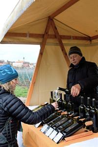 Vinařské akce * Putování vinicemi za víny VOC 2023; III. ročník