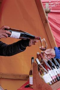 Vinařské akce * Putování vinicemi za víny VOC 2023; III. ročník