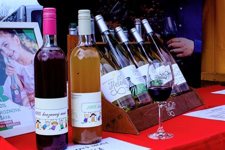 Vinařské akce * Putování vinicemi za víny VOC 2023; III. ročník
