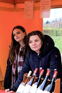 Vinařské akce * Putování vinicemi za víny VOC 2023; III. ročník