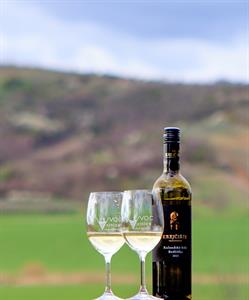 Vinařské akce * Putování vinicemi za víny VOC 2023; III. ročník
