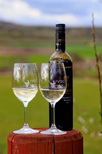 Vinařské akce * Putování vinicemi za víny VOC 2023; III. ročník