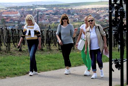 Okrašlovací spolek * Jarní ŠLAPKA aneb Otevírání turistických cest