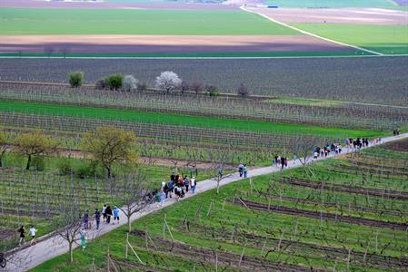 Okrašlovací spolek * Jarní ŠLAPKA aneb Otevírání turistických cest
