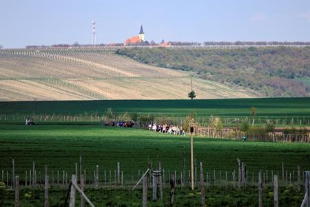 Okrašlovací spolek * Jarní ŠLAPKA aneb Otevírání turistických cest