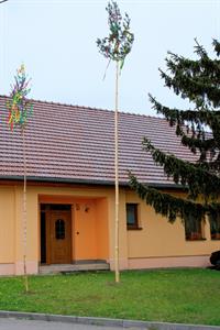 Tradice a jejich udržování * Májky zamilovaných před domy mladých svobodných dívek