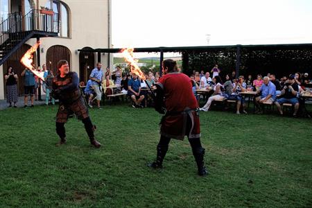 Kulturní dění * II. ročník ZÁMECKÉHO SNĚNÍ na Ekocentru Trkmanka