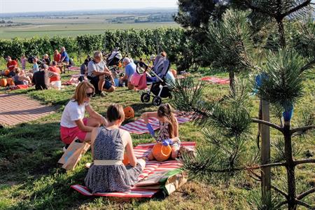 Městská knihovna * VESELÉ DÝŇOBRANÍ pod rozhlednou Slunečná 2023