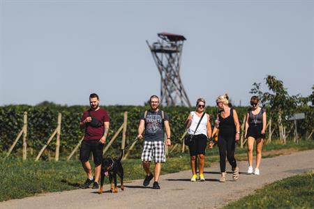 Modré Hory * 16. ročník Putování za burčákem zaperlil