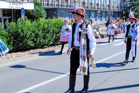Kultura * Velkopavlovické vinobraní * sobota