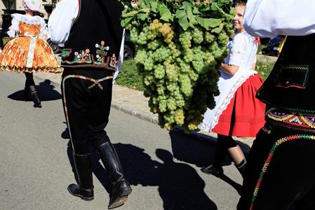 Kultura * Velkopavlovické vinobraní * sobota