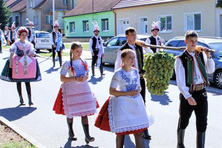 Kultura * Velkopavlovické vinobraní * sobota