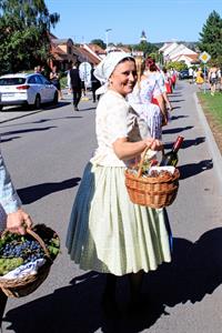 Kultura * Velkopavlovické vinobraní * sobota