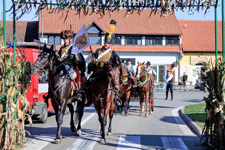 Kultura * Velkopavlovické vinobraní * sobota
