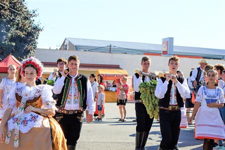 Kultura * Velkopavlovické vinobraní * sobota