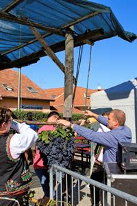 Kultura * Velkopavlovické vinobraní * sobota