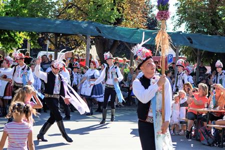 Kultura * Velkopavlovické vinobraní * sobota