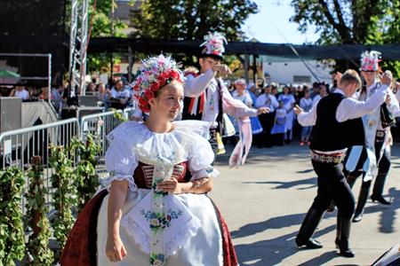 Kultura * Velkopavlovické vinobraní * sobota