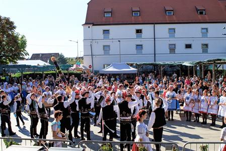 Kultura * Velkopavlovické vinobraní * sobota