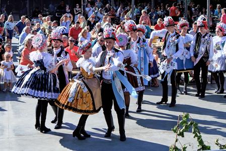 Kultura * Velkopavlovické vinobraní * sobota