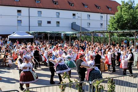 Kultura * Velkopavlovické vinobraní * sobota