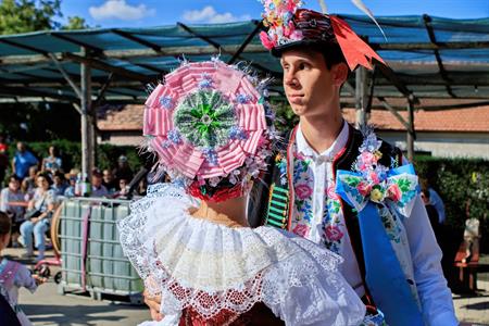 Kultura * Velkopavlovické vinobraní * sobota
