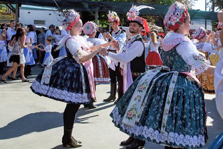 Kultura * Velkopavlovické vinobraní * sobota