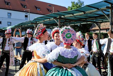 Kultura * Velkopavlovické vinobraní * sobota