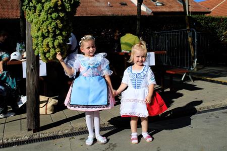Kultura * Velkopavlovické vinobraní * sobota