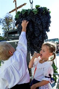 Kultura * Velkopavlovické vinobraní * sobota