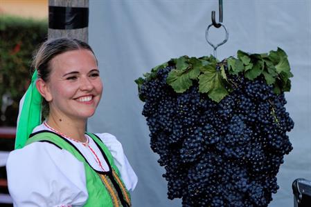 Kultura * Velkopavlovické vinobraní * sobota