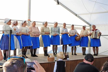 Kultura * Velkopavlovické vinobraní * sobota