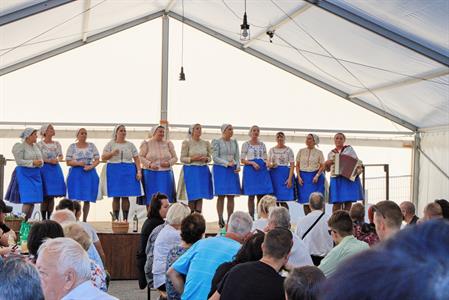 Kultura * Velkopavlovické vinobraní * sobota