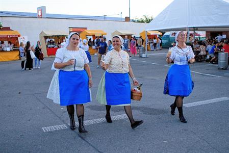 Kultura * Velkopavlovické vinobraní * sobota