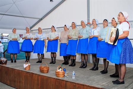 Kultura * Velkopavlovické vinobraní * sobota