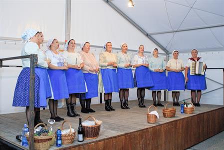 Kultura * Velkopavlovické vinobraní * sobota
