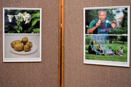 Kulturní dění * Nejen fotografie zachycující každodenní život