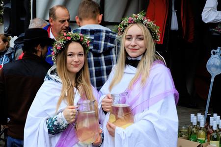 Víno z Velkých Pavlovic * Svatomartinské otevřené sklepy roku 2023