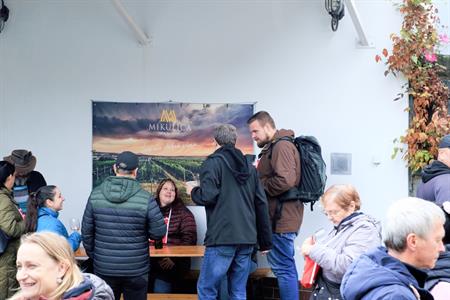 Víno z Velkých Pavlovic * Svatomartinské otevřené sklepy roku 2023
