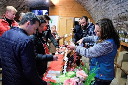 Víno z Velkých Pavlovic * Svatomartinské otevřené sklepy roku 2023