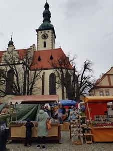 Vinařství * Modrohorští vinaři na Táborském festivalu vína