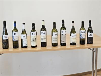  Vinařství & vinařství * Modrohorská pecka 2024 má svého šampiona
