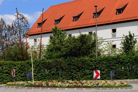  Kultura, folklór & tradice * Májky ozdobily Velké Pavlovice