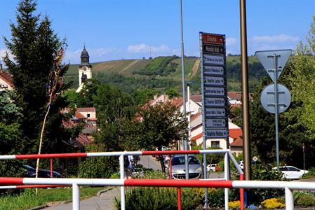  Kultura, folklór & tradice * Májky ozdobily Velké Pavlovice