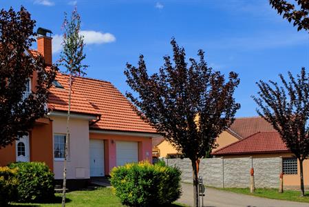  Kultura, folklór & tradice * Májky ozdobily Velké Pavlovice