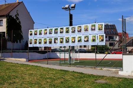Gymnázium * Maturitní tablo třídy 4. A třídní učitelky Mgr. Marie Holáskové