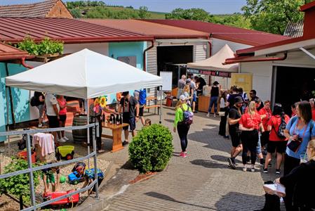 Víno & vinařství * Májové otevřené sklepy 2024