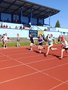 Základní škola * Olympiáda škol Hustopečska 2024, 10 medailí pro ZŠ Velké Pavlovice