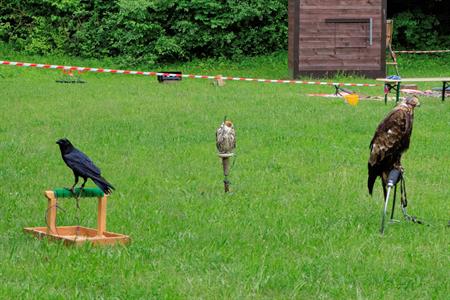 Myslivci * Dětský den na myslivně se vydařil na jedničku s hvězdičkou
